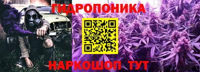 индика Усть-Джегута
