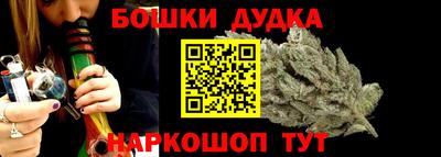 индика Усть-Джегута