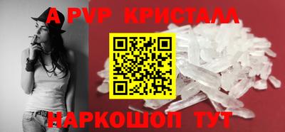 индика Усть-Джегута