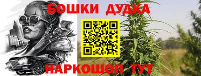 индика Усть-Джегута