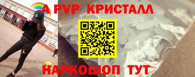 индика Усть-Джегута